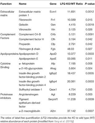 Inference of Diagnostic Markers and Therapeutic Targets From CSF Proteomics for the Treatment of Hydrocephalus